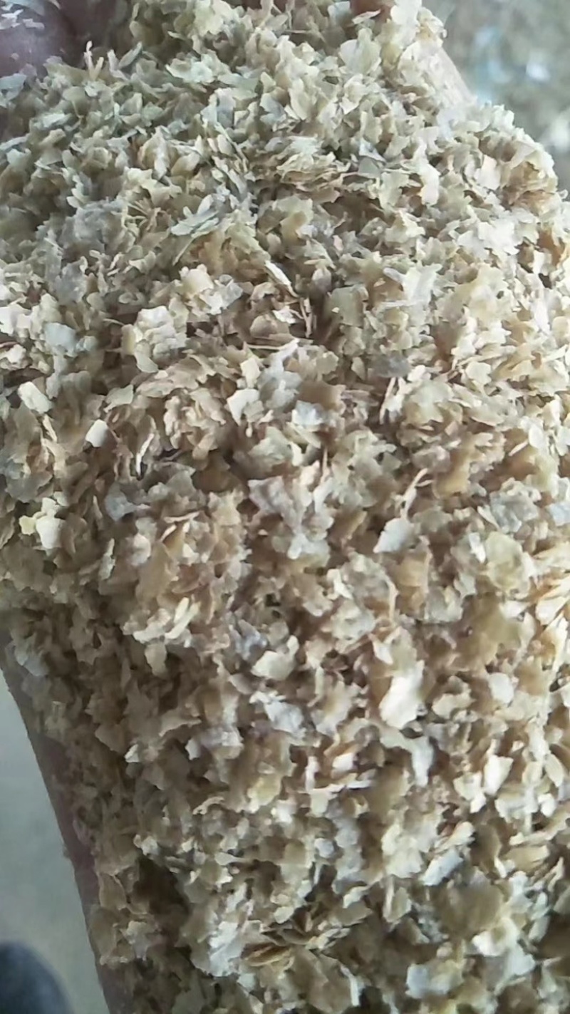 麸皮