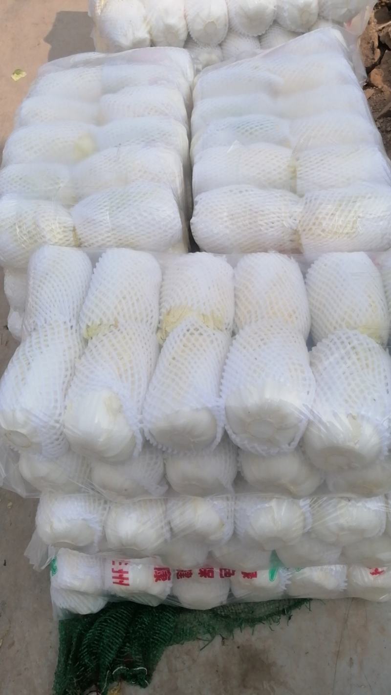 娃娃菜大娃娃菜小娃娃菜各种精品包装电商货市场货