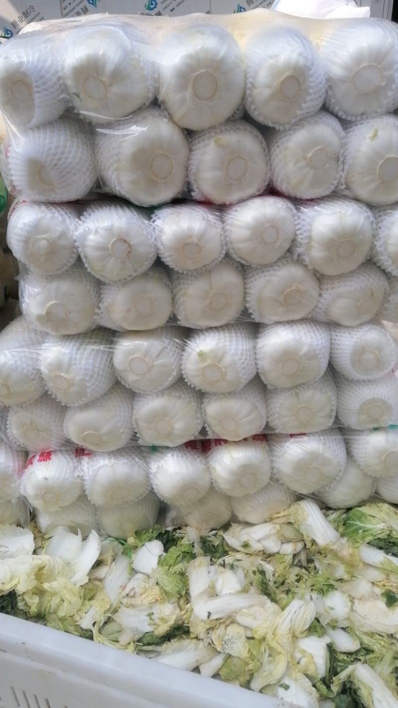 娃娃菜大娃娃菜小娃娃菜各种精品包装电商货市场货
