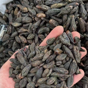 西青果臧青果干青果橄榄果甘青果石橄榄橄榄