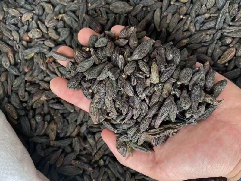 西青果臧青果干青果橄榄果甘青果石橄榄橄榄