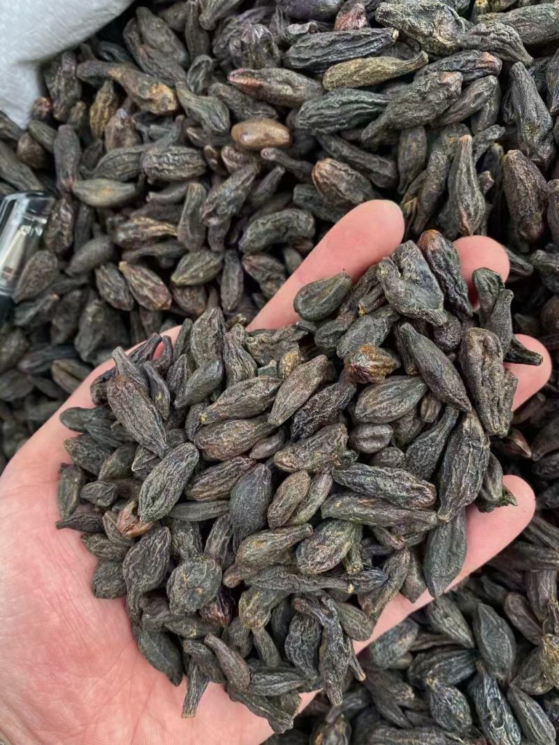 西青果臧青果干青果橄榄果甘青果石橄榄橄榄