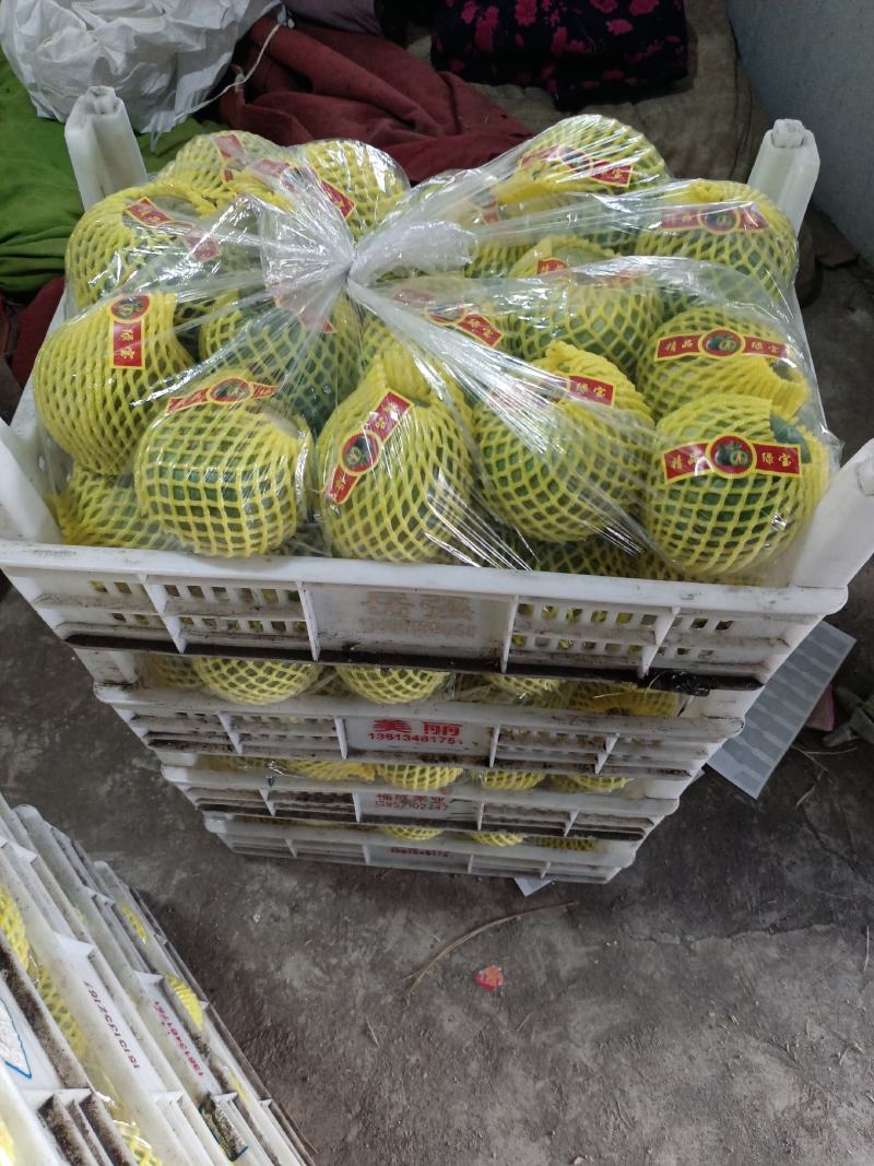 绿宝脆甜，质量过硬！城信合作！