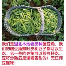 [推荐]豌豆青豌豆对接各大市场商超电商欢迎来电采购