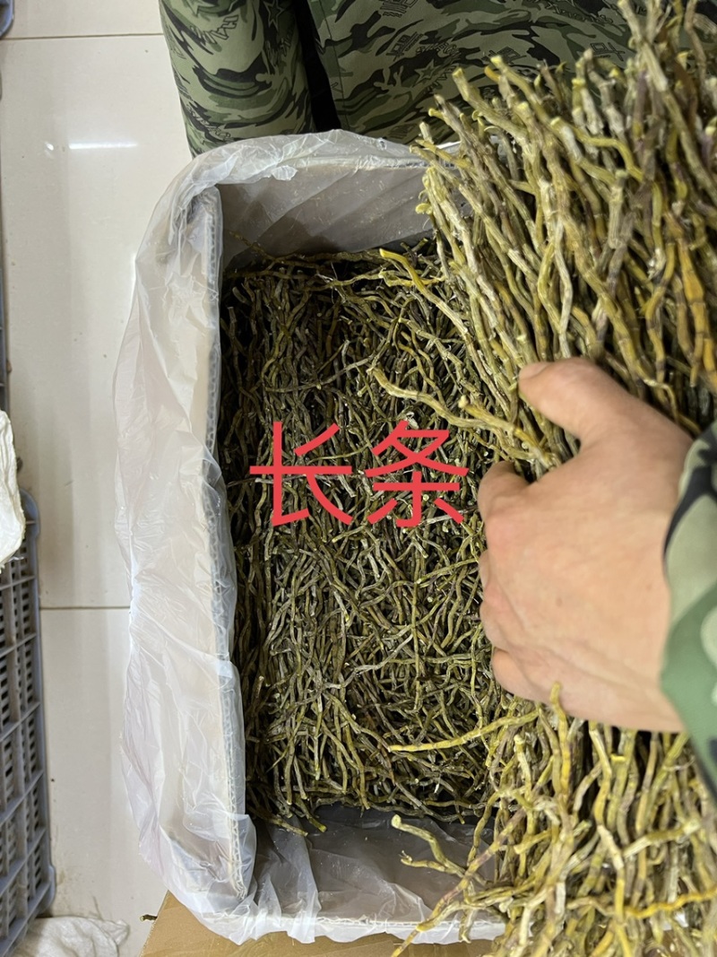 铁皮石斛.干条.全化渣，胶质丰富.颜色漂亮，理条