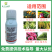 螺虫噻嗪酮螺虫乙酯果园果树柑橘树蚧壳虫专用农药杀虫剂