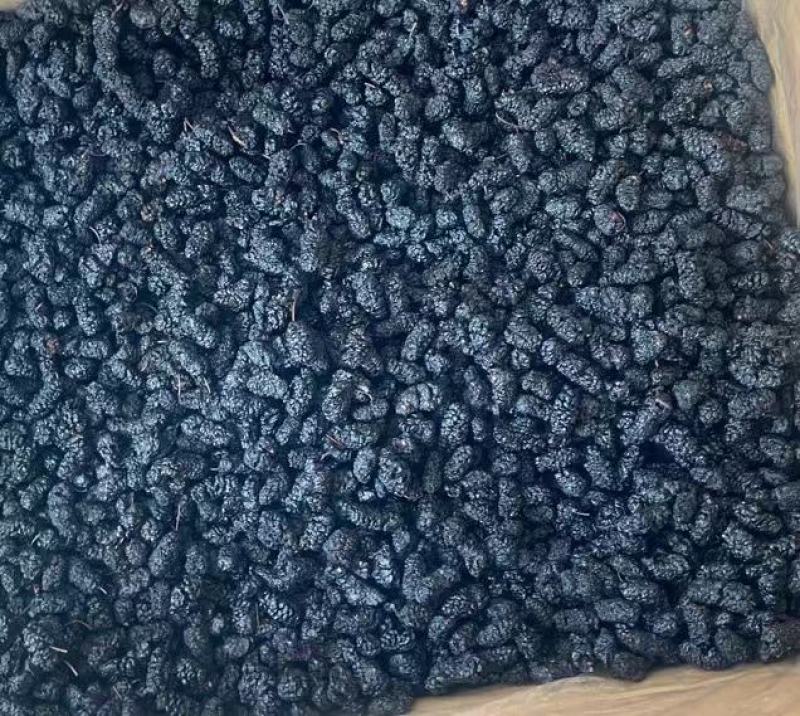 批发现货特级无沙桑葚子黑桑葚干四川优质品种诚信经营