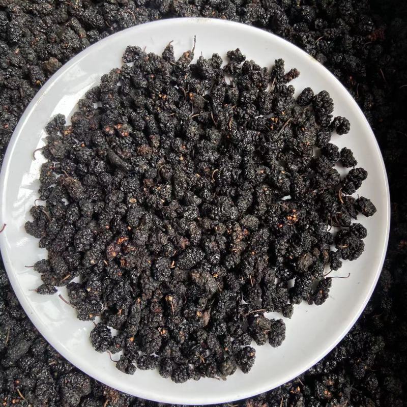 批发现货特级无沙桑葚子黑桑葚干四川优质品种诚信经营