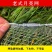 渔网夹网挑网老式月亮网扒网搭网夹夹网赶网搂网月亮