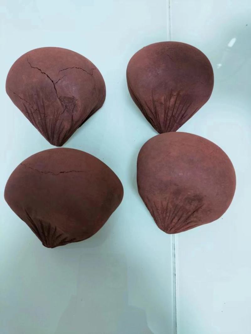 血竭，产地马来西亚，含量高达1.5质地细腻，价格美丽