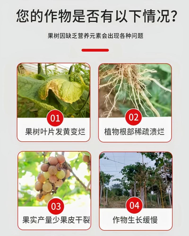 葡萄专用肥葡萄膨大催红钾有机冲施肥桶肥高钾高钙防裂果增甜