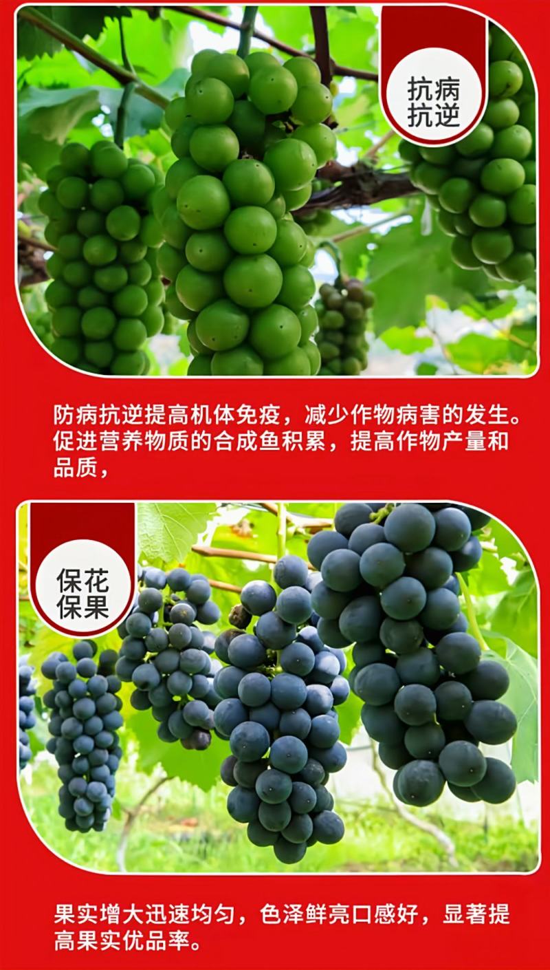 葡萄专用肥葡萄膨大催红钾有机冲施肥桶肥高钾高钙防裂果增甜