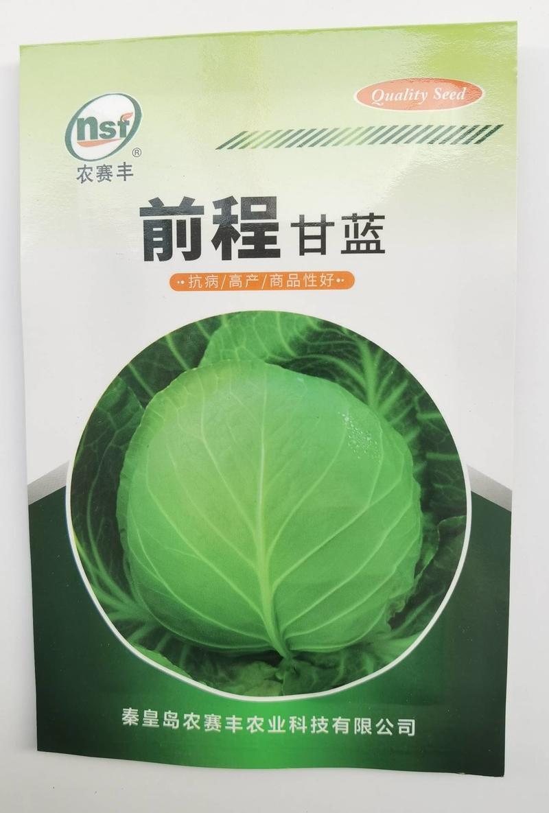 夏季耐高温甘蓝种子前程甘蓝极早熟50天耐热圆球绿球包菜种
