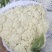 河北邯郸有机花菜诚信经营合作共赢。