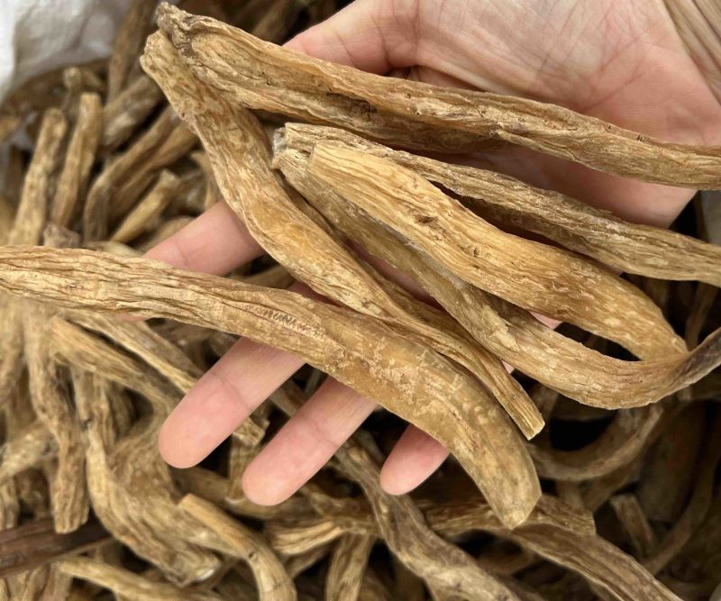 百部精选品