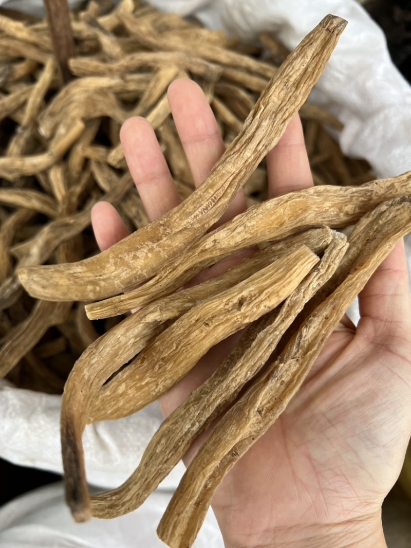 百部精选品