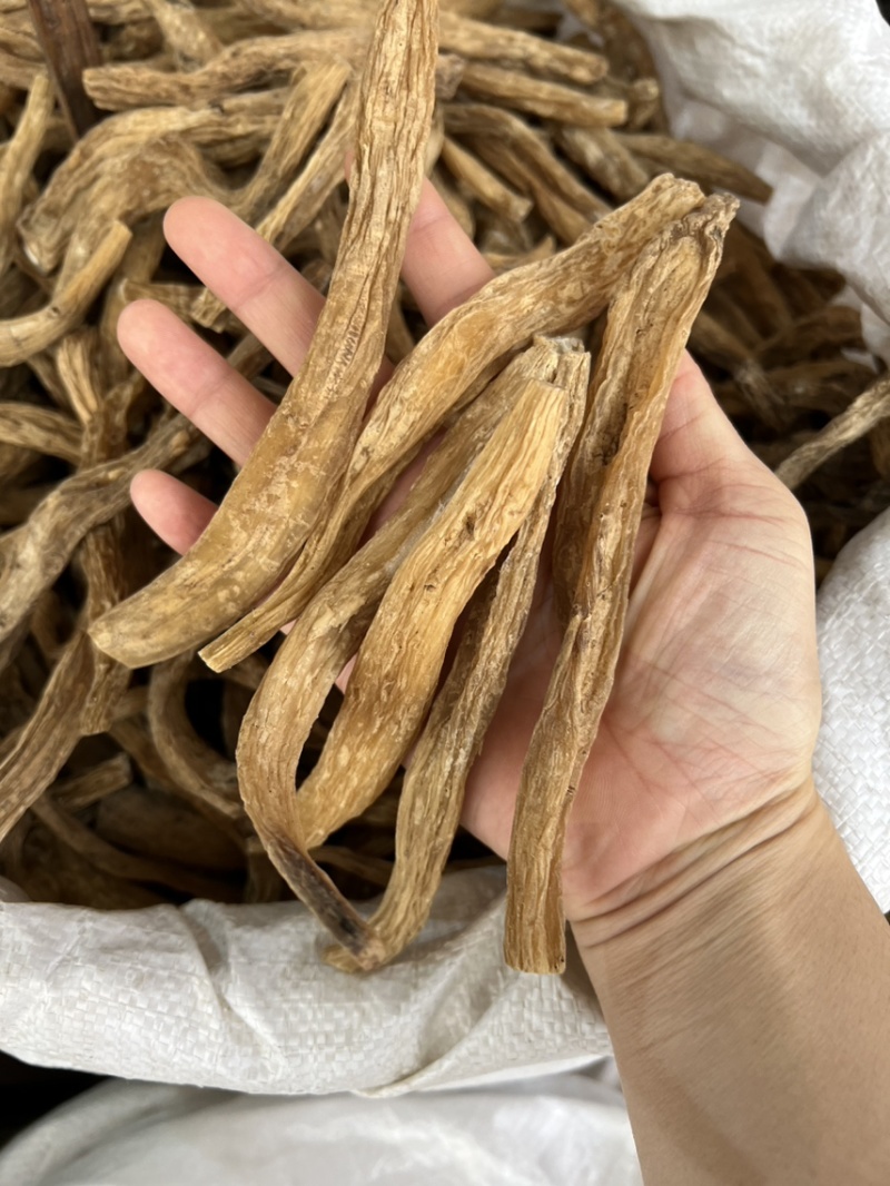 百部精选品