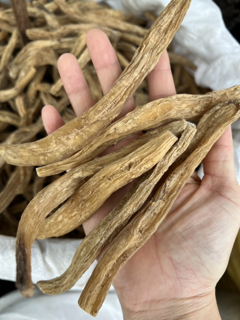 百部精选品