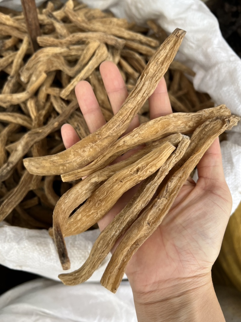 百部精选品