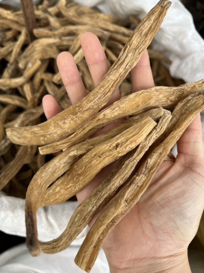 百部精选品