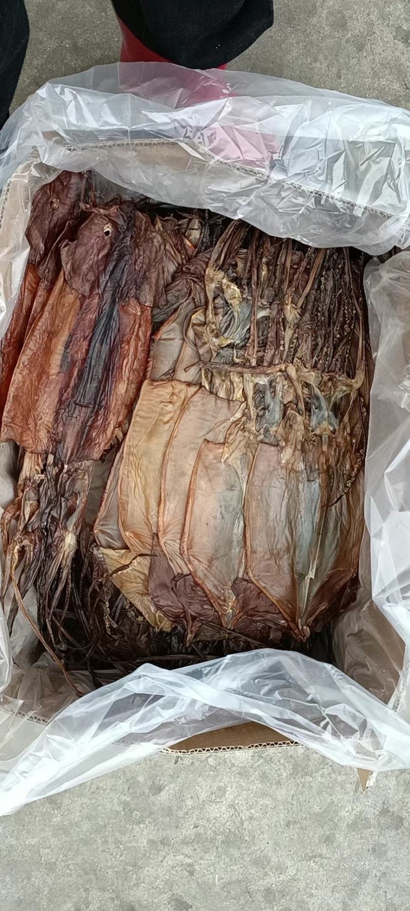 水发带头鱿鱼干专用，质量好干度好泡发度强，支持定制加工。