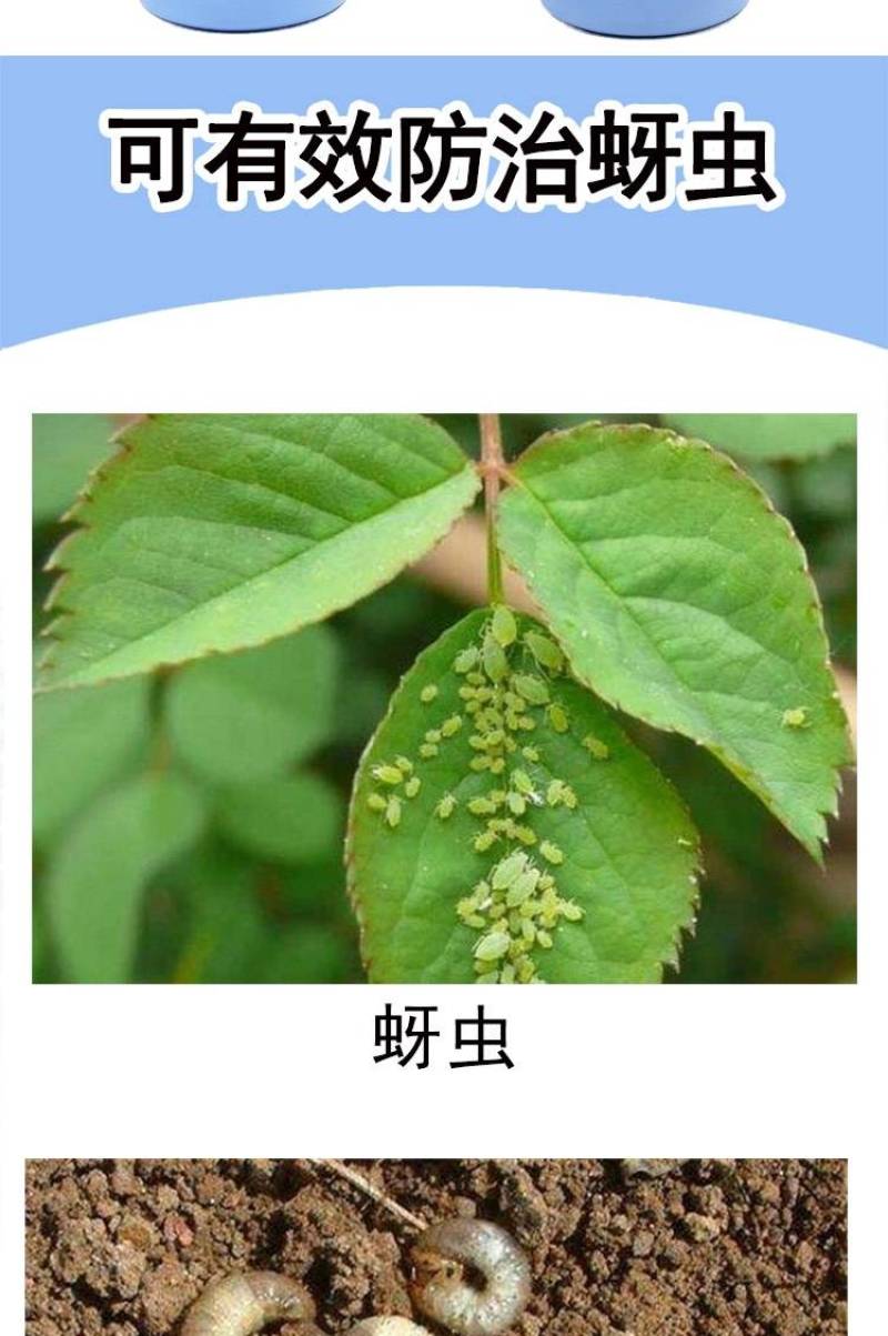诺普信力道30%噻虫嗪高效氯氟氰菊酯蚜虫蓟马叶蝉农药