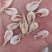 蹦虾，烤海虾油炸虾原材料，一手货源