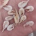 蹦虾，烤海虾油炸虾原材料，一手货源