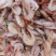 蹦虾，烤海虾油炸虾原材料，一手货源