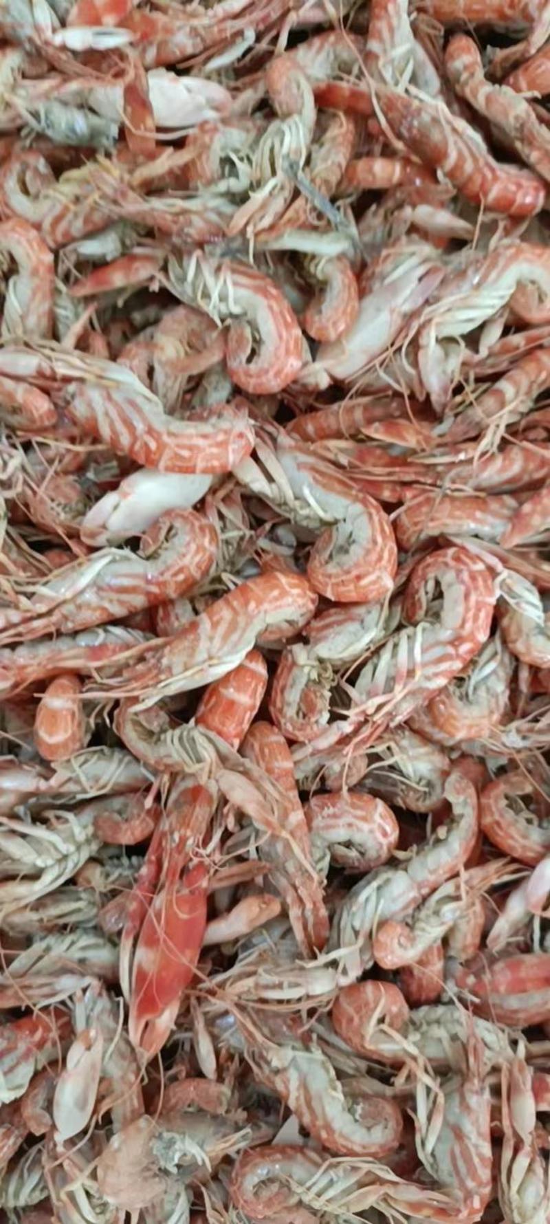 渤海湾出品，龙虾，也叫花虾