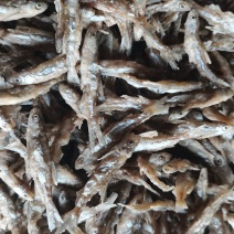 面粉鱼，面粉小白条，生晒鱼，猫鱼，油炸小白条。
