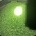 莳萝，法香，欧芹，意大利芹，芝麻菜，罗勒酱，罗勒干品碎