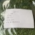 莳萝，法香，欧芹，意大利芹，芝麻菜，罗勒酱，罗勒干品碎