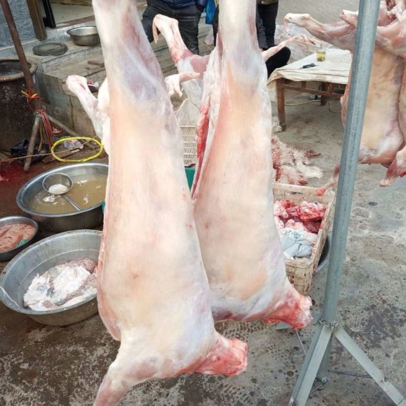 烤全羊8-15斤大小规格都有货源充足，量大从优。