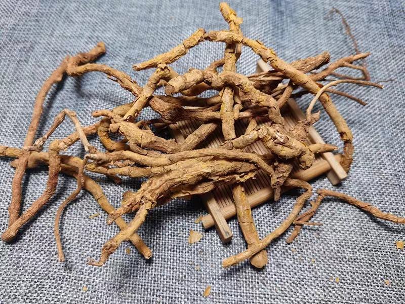 鸡骨香批发零售各种中药材鸡骨香药用中药材