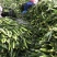 牛奶水果玉米