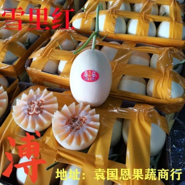 甜瓜河南安阳内黄甜瓜，红肉脆梨甜瓜，代收代发，对接电商