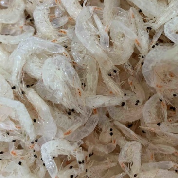 淡干无盐大虾皮，特别干净，跑江湖的朋友看过来