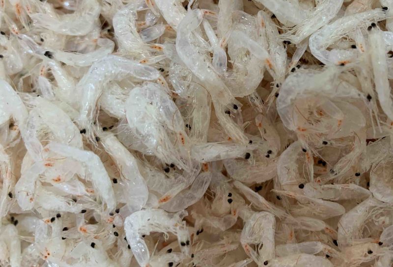 淡干无盐大虾皮，特别干净，跑江湖的朋友看过来