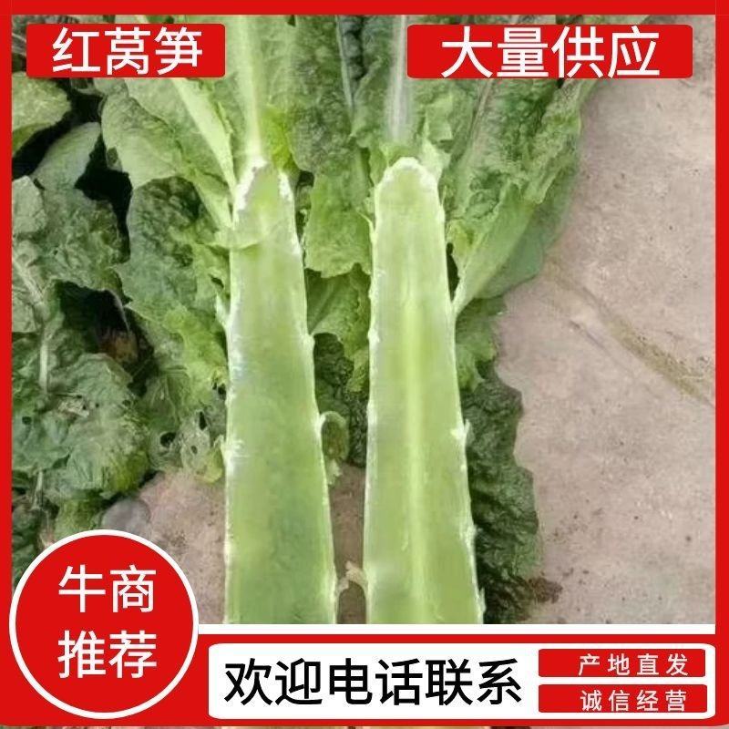 湖北红叶莴笋大量有货，欢迎采购，市场电商发货全国