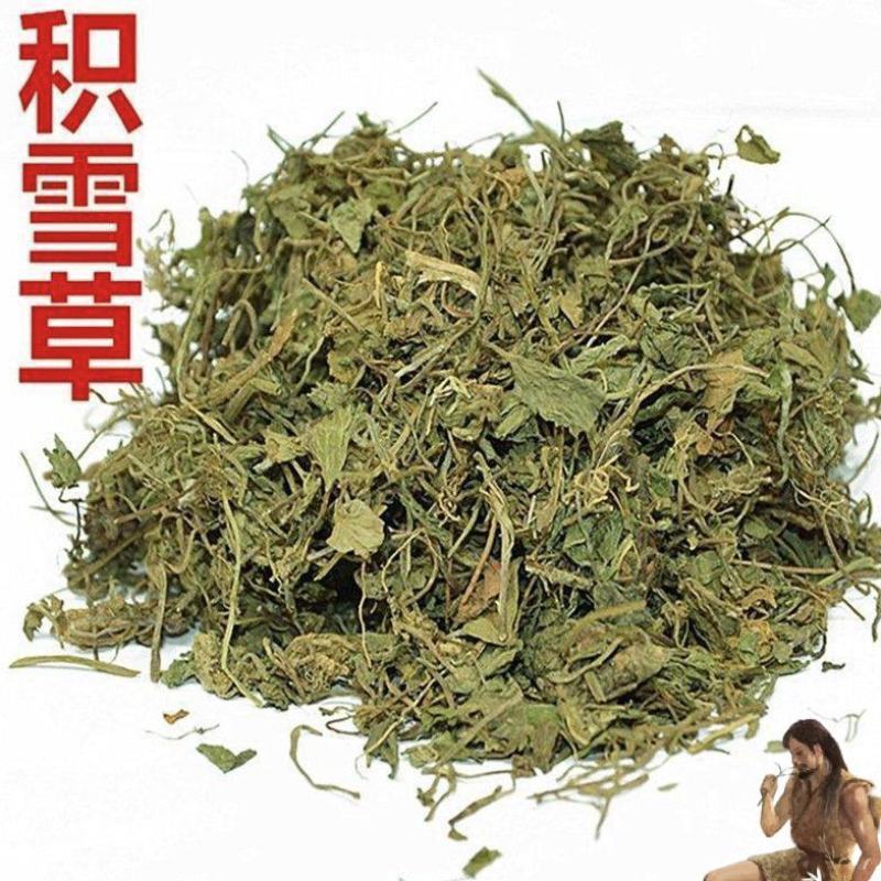 中药材积雪草100克包邮野生天然崩大碗马蹄草铜钱草