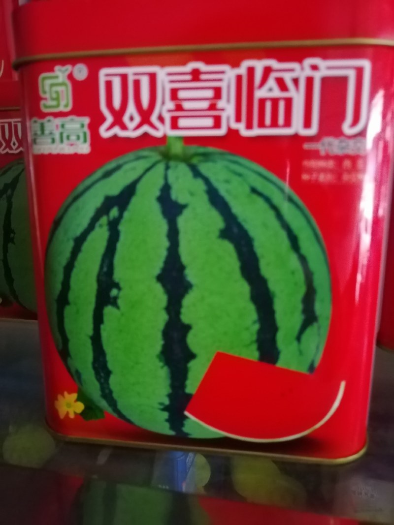 早熟品种开花至成熟28天左右圆形抗病大红瓤肉质紧密甜脆。