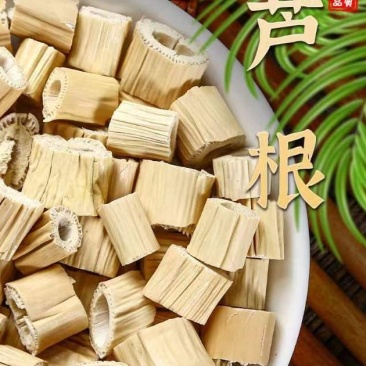 芦根段统货，原产芦根，坚守源头，当季新货，扁圆柱行，