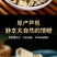 芦根段统货，原产芦根，坚守源头，当季新货，扁圆柱行，