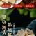 芦根段统货，原产芦根，坚守源头，当季新货，扁圆柱行，