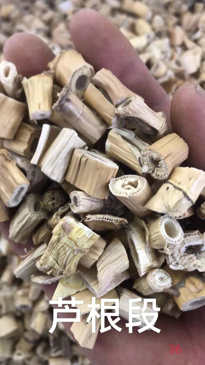 芦根段统货，原产芦根，坚守源头，当季新货，扁圆柱行，