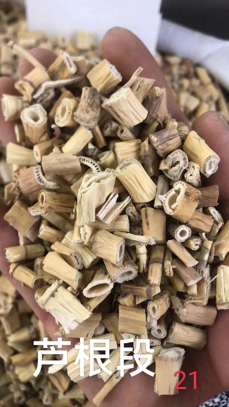 芦根段统货，原产芦根，坚守源头，当季新货，扁圆柱行，