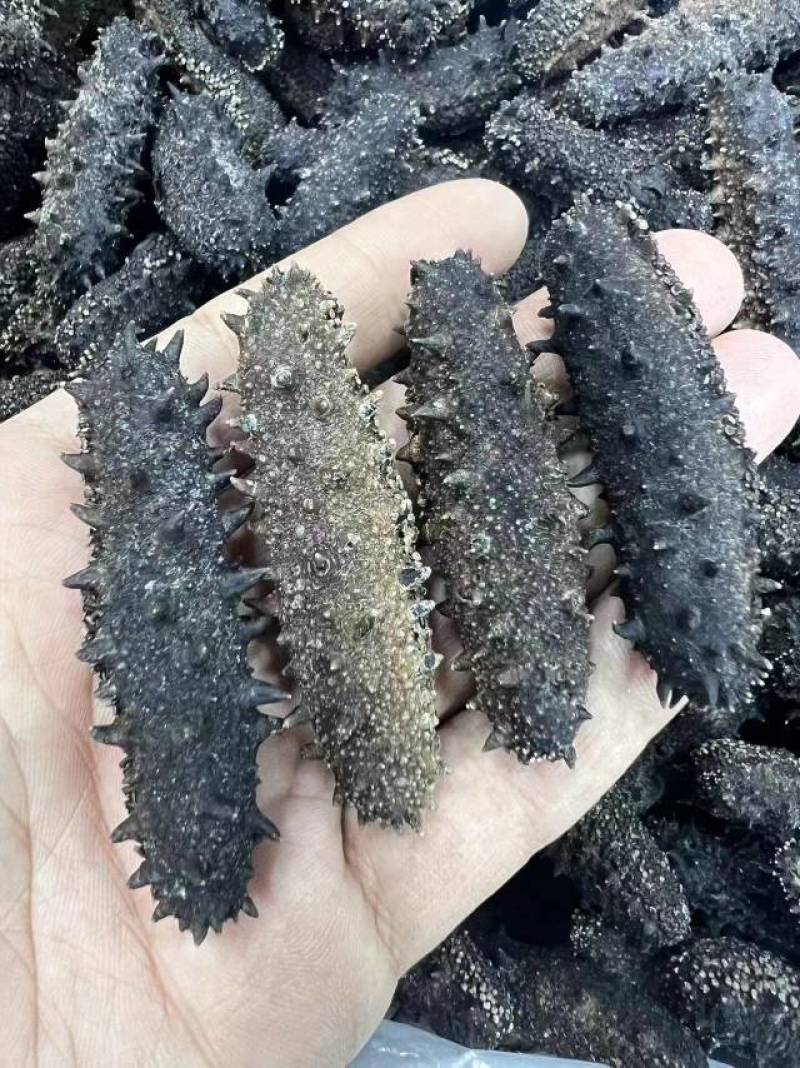 山东海参干海参一手货源，品质保证，量大价优。无任何添加，