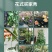 多功能绑枝园艺铁丝捆扎线扎带爬藤蔓固定器细铁丝包塑铁丝绑