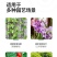 多功能绑枝园艺铁丝捆扎线扎带爬藤蔓固定器细铁丝包塑铁丝绑